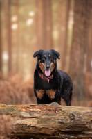 Antoine CZERWINSKI - ANTOINE CZERWINSKI