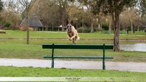 Elodie DEVAYE - CLIC N' REC